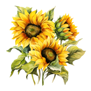 Sunflower Bundle