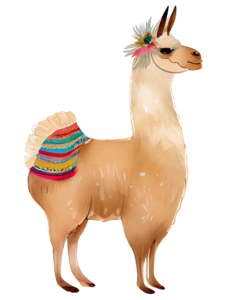 Cute Llama